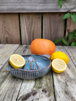 Stoneware Citrus Juicer