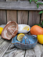 Stoneware Citrus Juicer