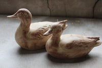 Pair of Stoneware Ducks