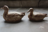 Pair of Stoneware Ducks