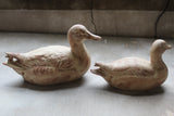 Pair of Stoneware Ducks