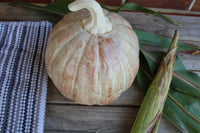 Stoneware Large Pumpkin