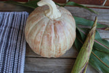 Stoneware Large Pumpkin